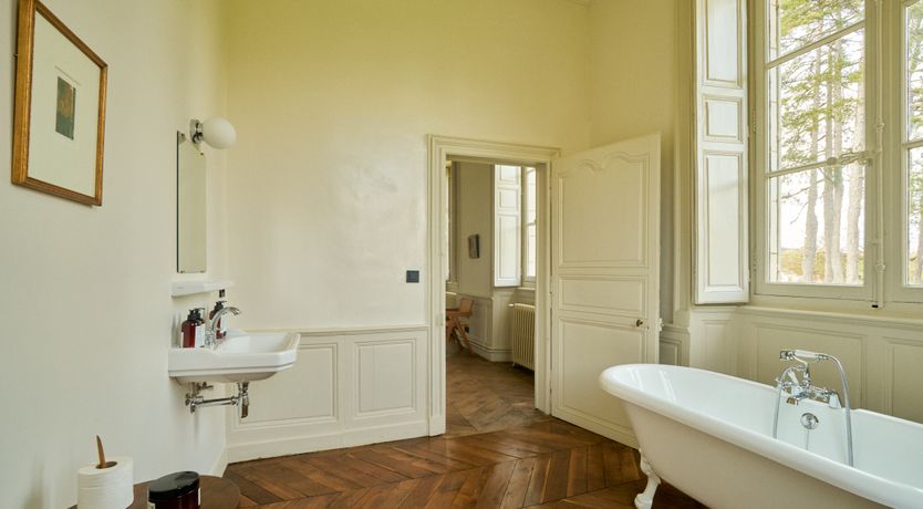 Photo of Sauvignon Vines