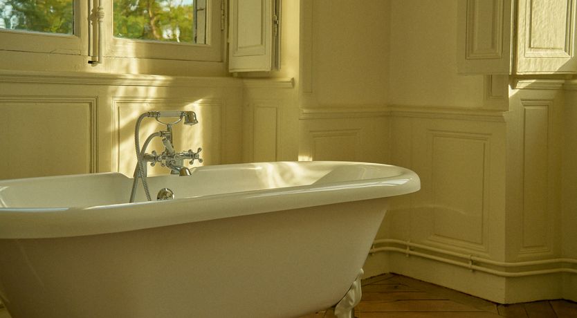 Photo of Sauvignon Vines