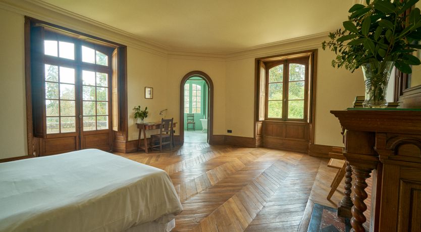 Photo of Sauvignon Vines