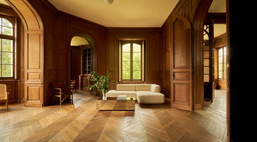 Photo of Sauvignon Vines