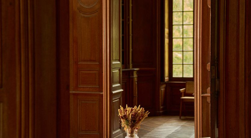 Photo of Sauvignon Vines