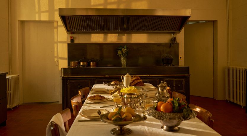 Photo of Sauvignon Vines