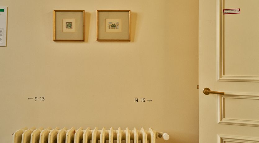 Photo of Sauvignon Vines