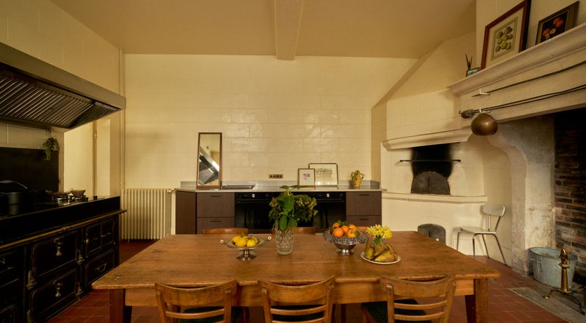 Photo of Sauvignon Vines