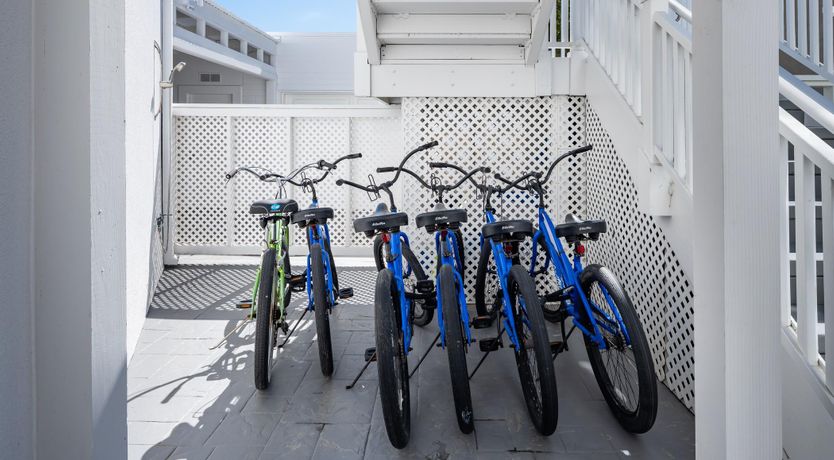 Photo of The Paintbrush