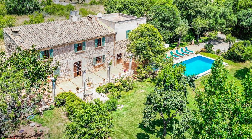 Photo of Grove Goddess