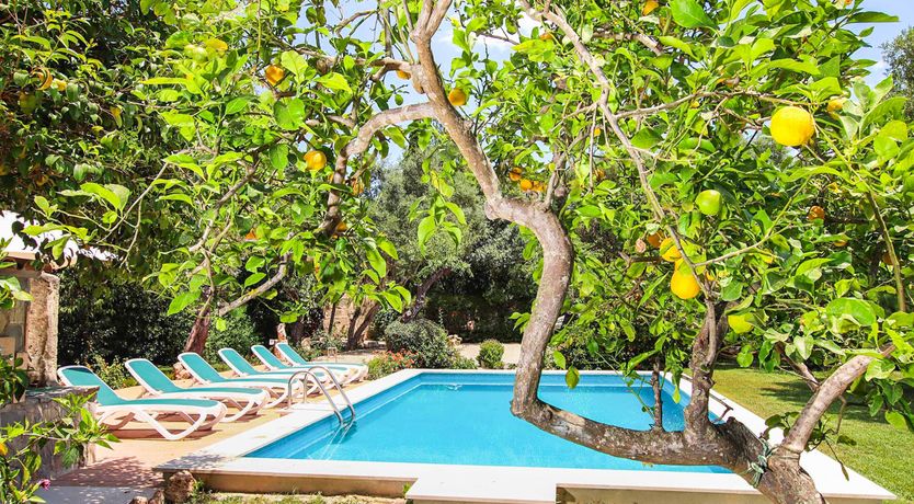 Photo of Grove Goddess