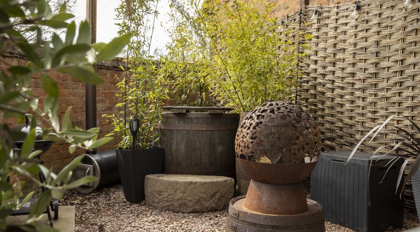 Photo of The Briar Rose