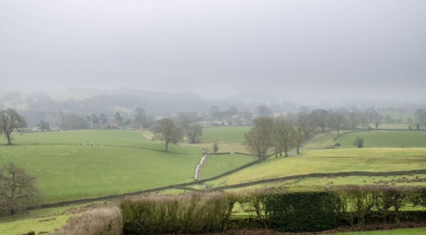 Photo of The Swifts' Nest