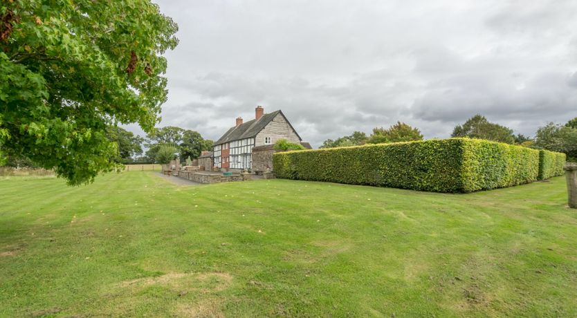 Photo of Buttercups & Roses
