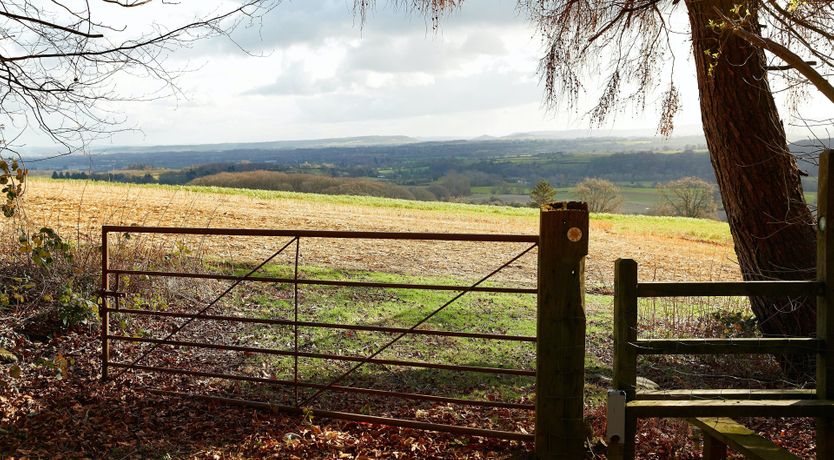 Photo of The Nature's Path