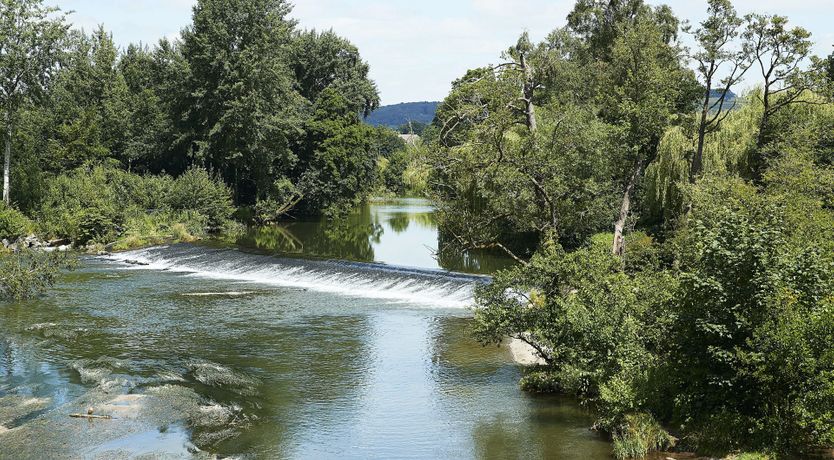 Photo of The Nature's Path