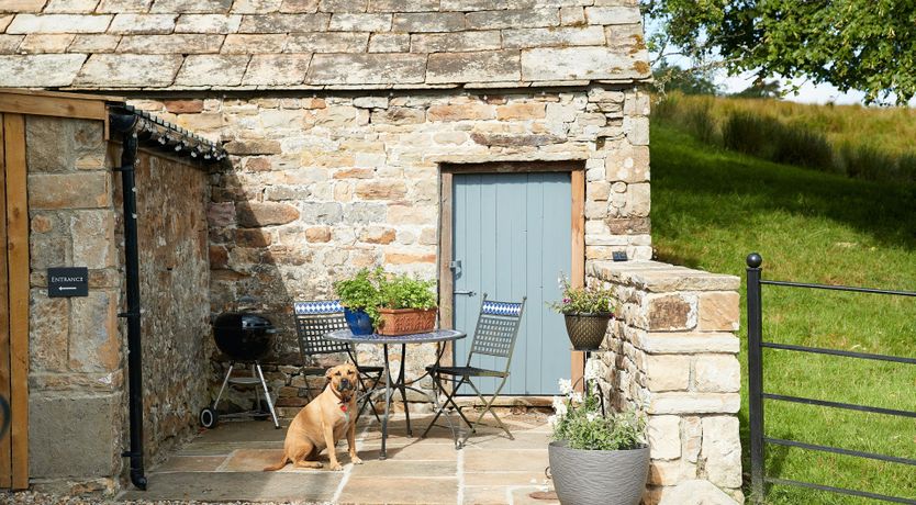 Photo of The Blue Stone