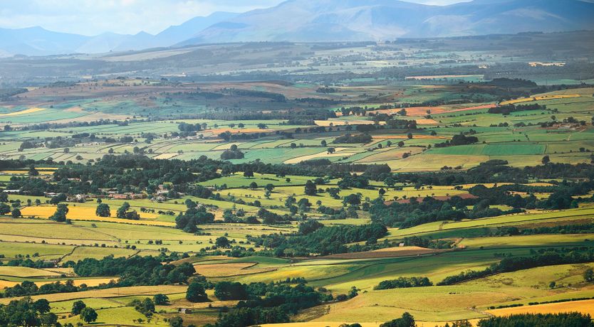 Photo of The Blue Stone