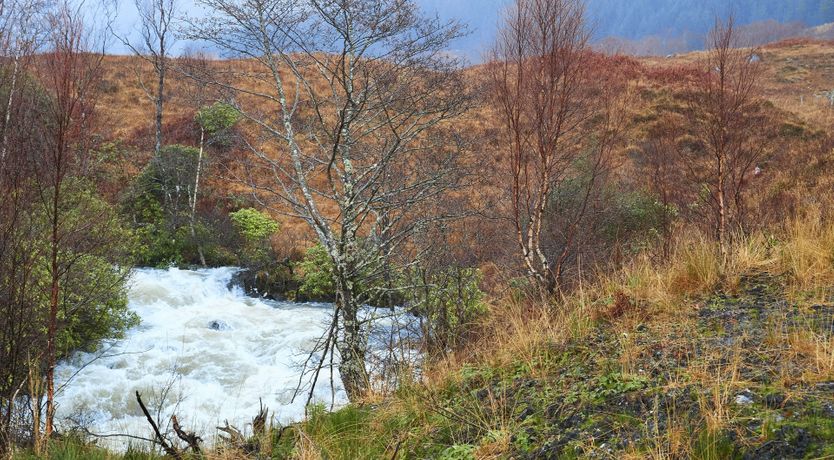 Photo of Highland Harmony