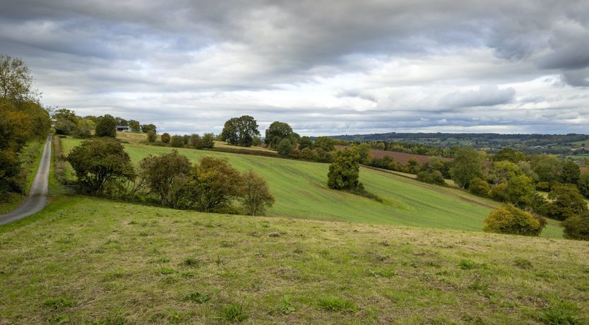 Photo of The Vintage Farmhouse