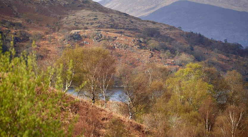 Photo of The Highland Hideaway