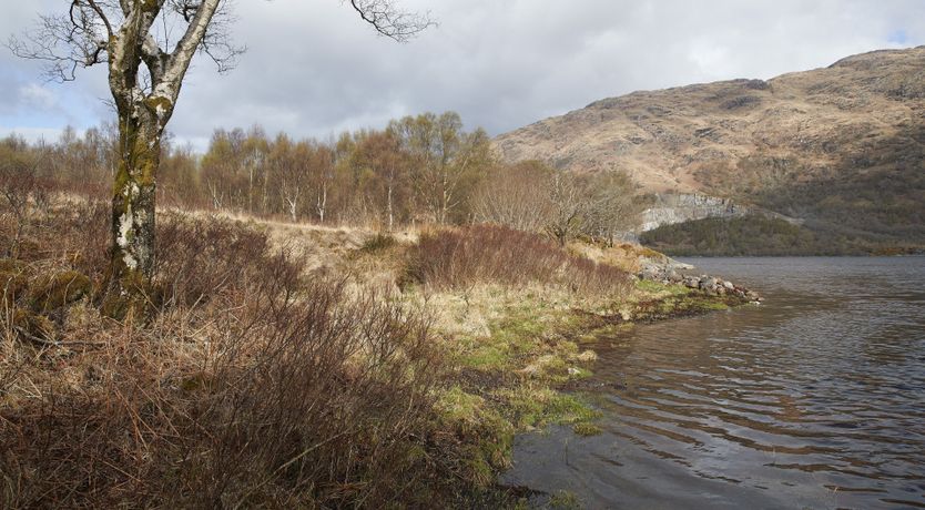 Photo of The Highland Hideaway