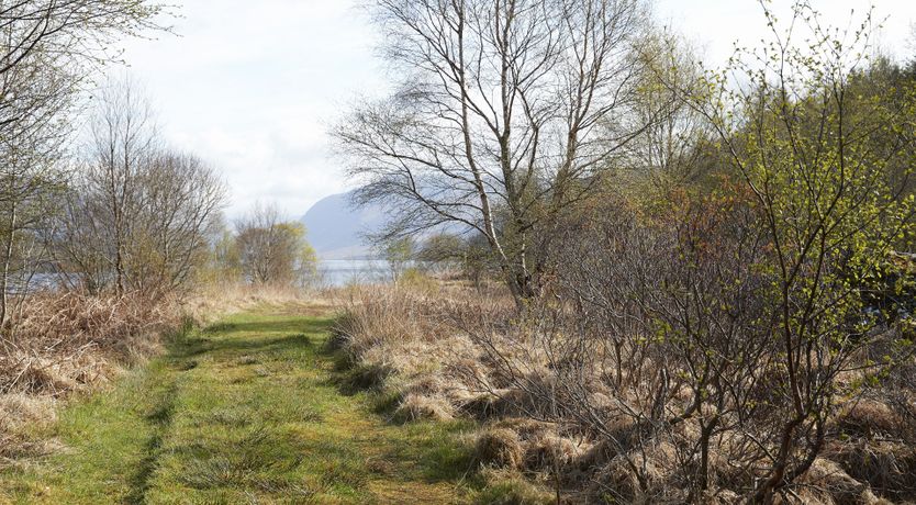 Photo of The Highland Hideaway