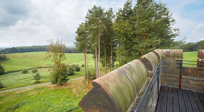 Photo of Beaming Winter