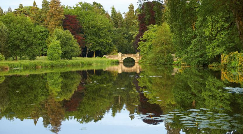 Photo of Beaming Winter