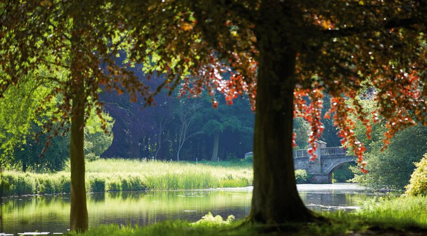 Photo of Beaming Winter