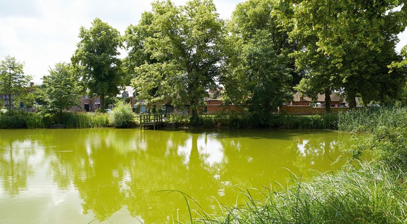 Photo of A Day in the Country