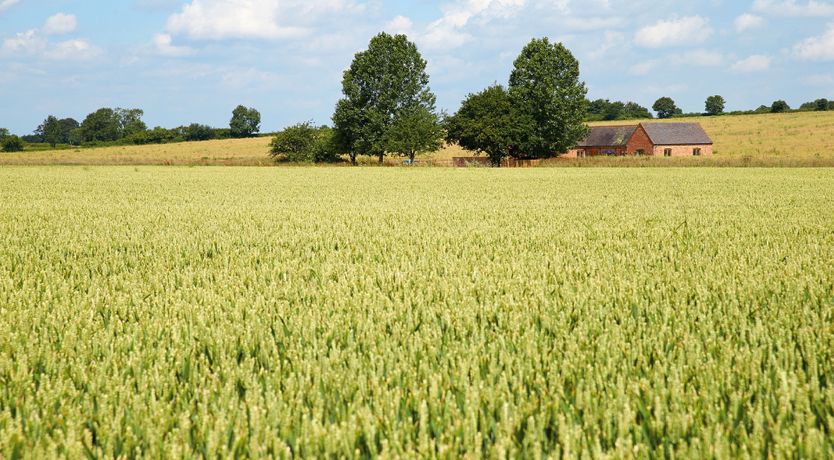 Photo of A Day in the Country