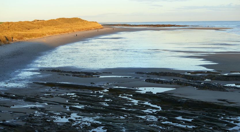 Photo of The Golden Shores