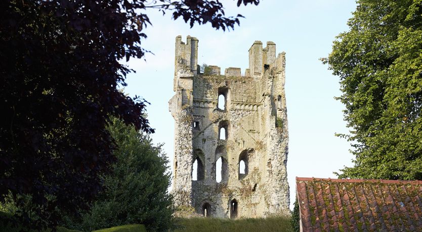 Photo of The Edge of the Meadow