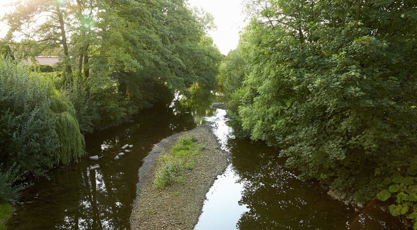 Photo of The Edge of the Meadow