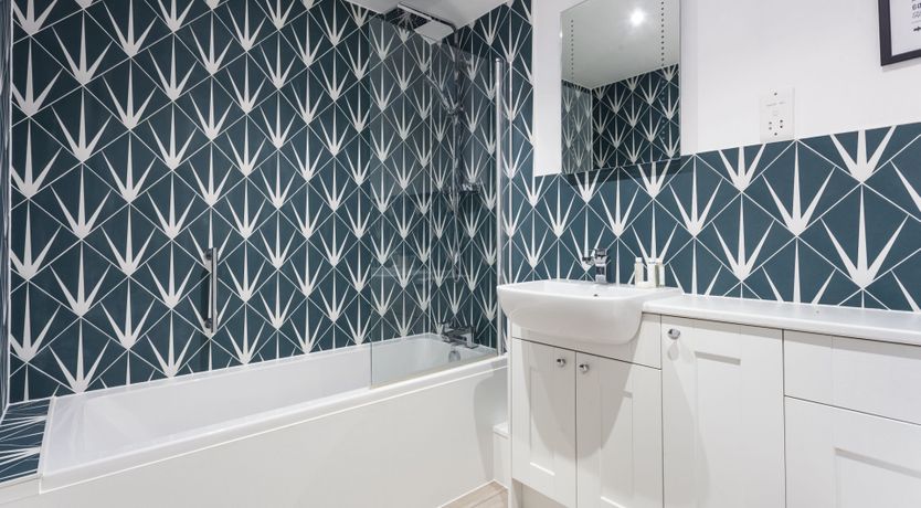 Photo of Sail the Seas