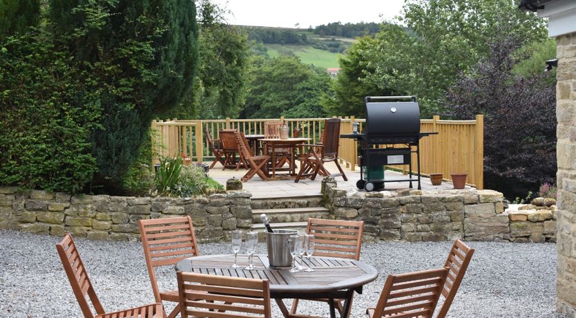 Photo of Willow in Bloom