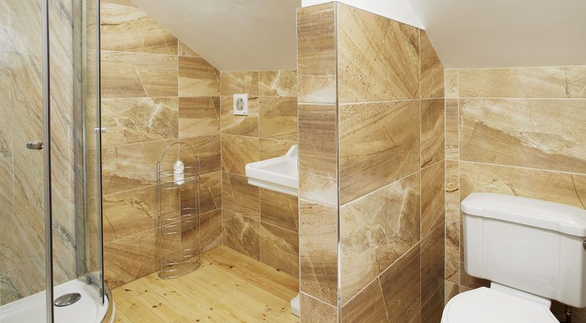 Photo of Willow in Bloom