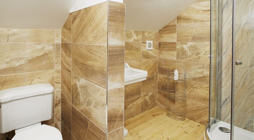 Photo of Willow in Bloom