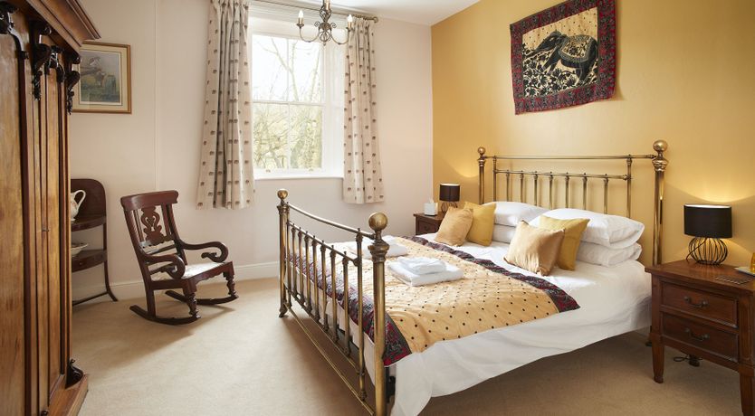 Photo of Willow in Bloom