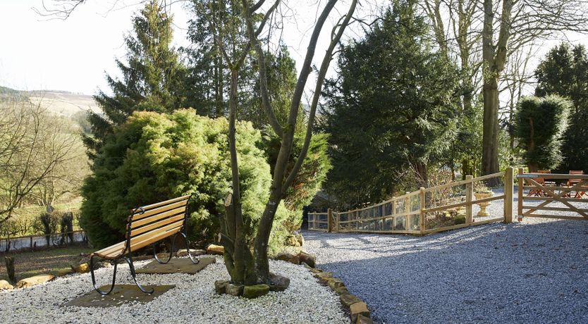 Photo of Willow in Bloom