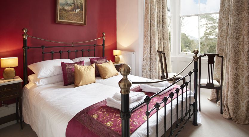 Photo of Willow in Bloom