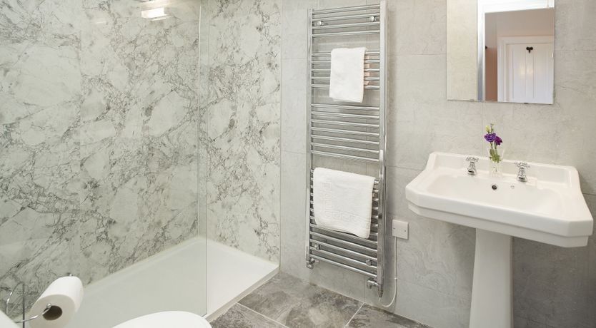 Photo of Willow in Bloom