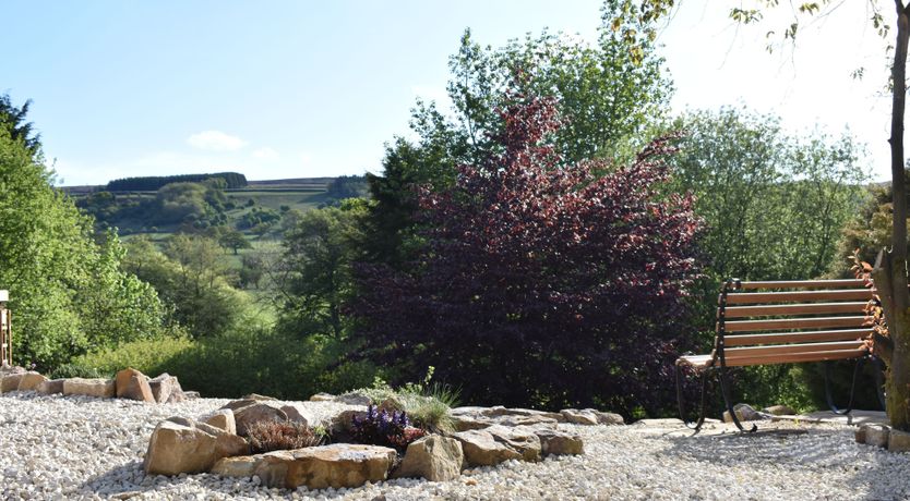 Photo of Willow in Bloom