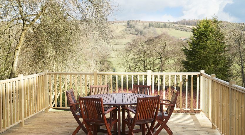 Photo of Willow in Bloom