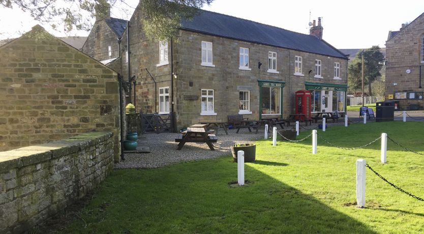 Photo of Willow in Bloom