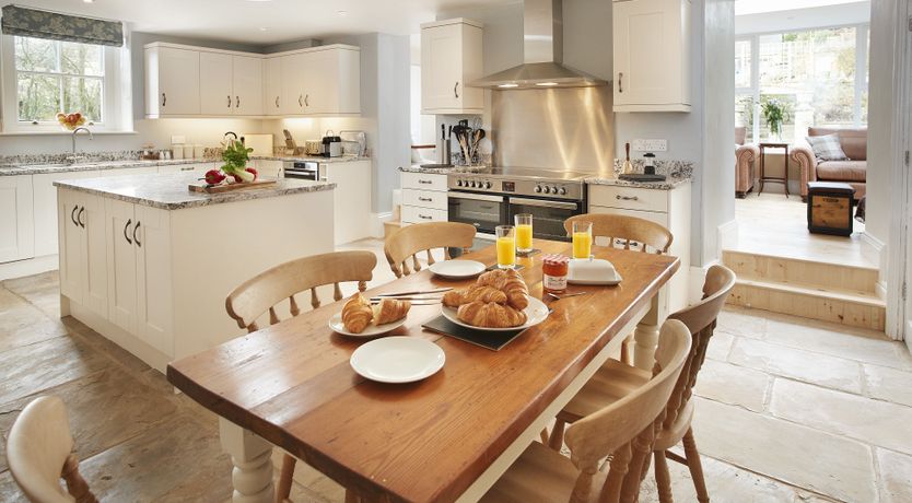 Photo of Willow in Bloom