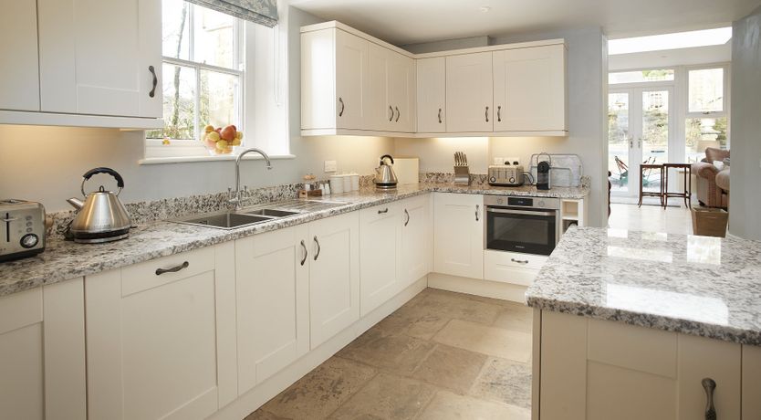 Photo of Willow in Bloom