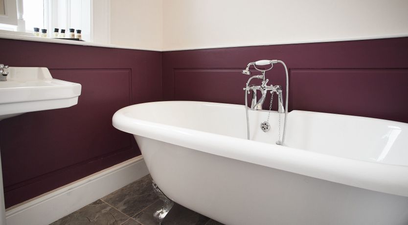 Photo of Willow in Bloom