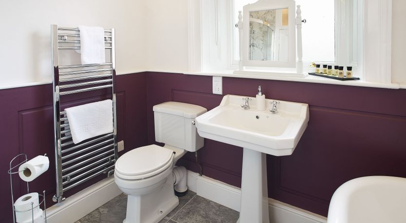 Photo of Willow in Bloom