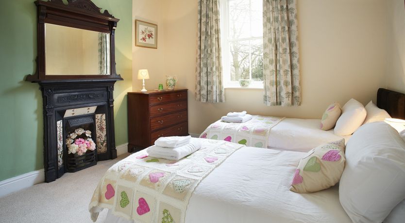 Photo of Willow in Bloom