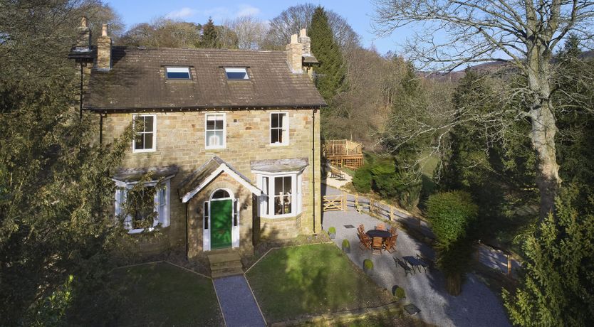 Photo of Willow in Bloom