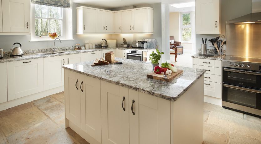 Photo of Willow in Bloom