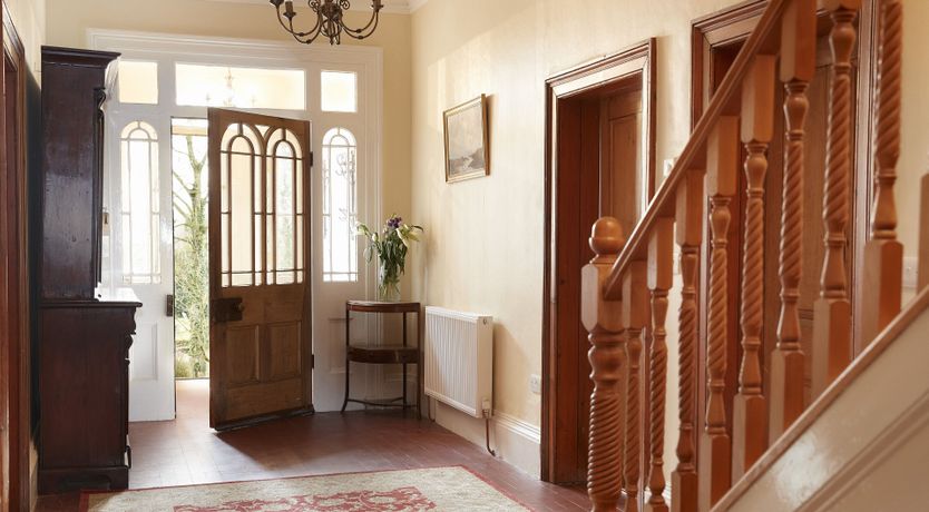 Photo of Willow in Bloom